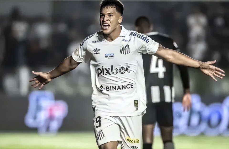 boaxn, 科斯, 出了报价 boaxn, 科斯, 出了报价