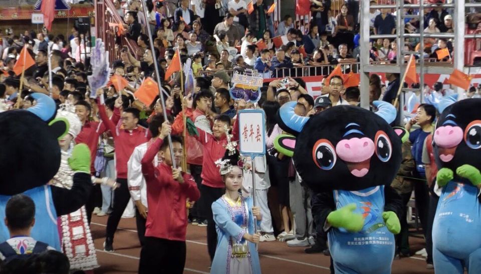 深厚的民族, XI, 的表现尤为 深厚的民族, XI, 的表现尤为